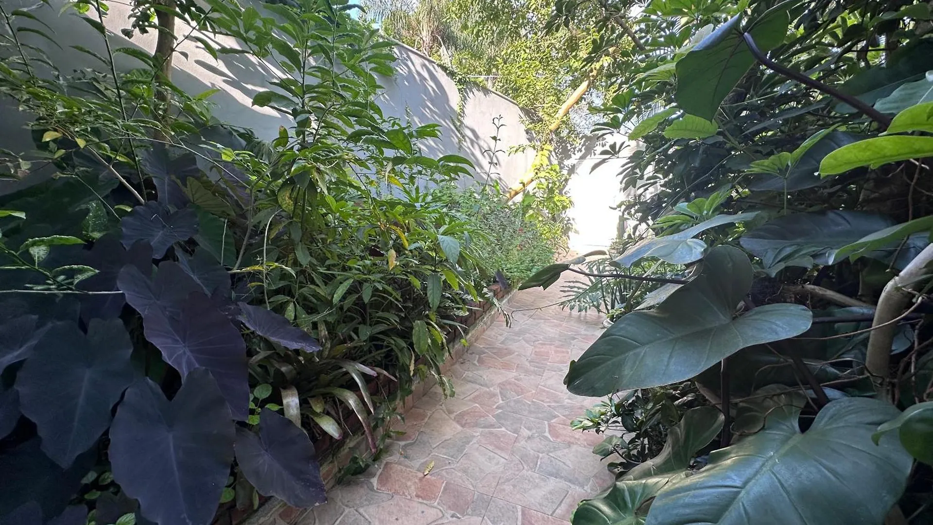 Arthi - Lindo Loft Recanto Dos Passarinhos Com Hidromassagem! Balneario Camboriu 0*,  Brazil