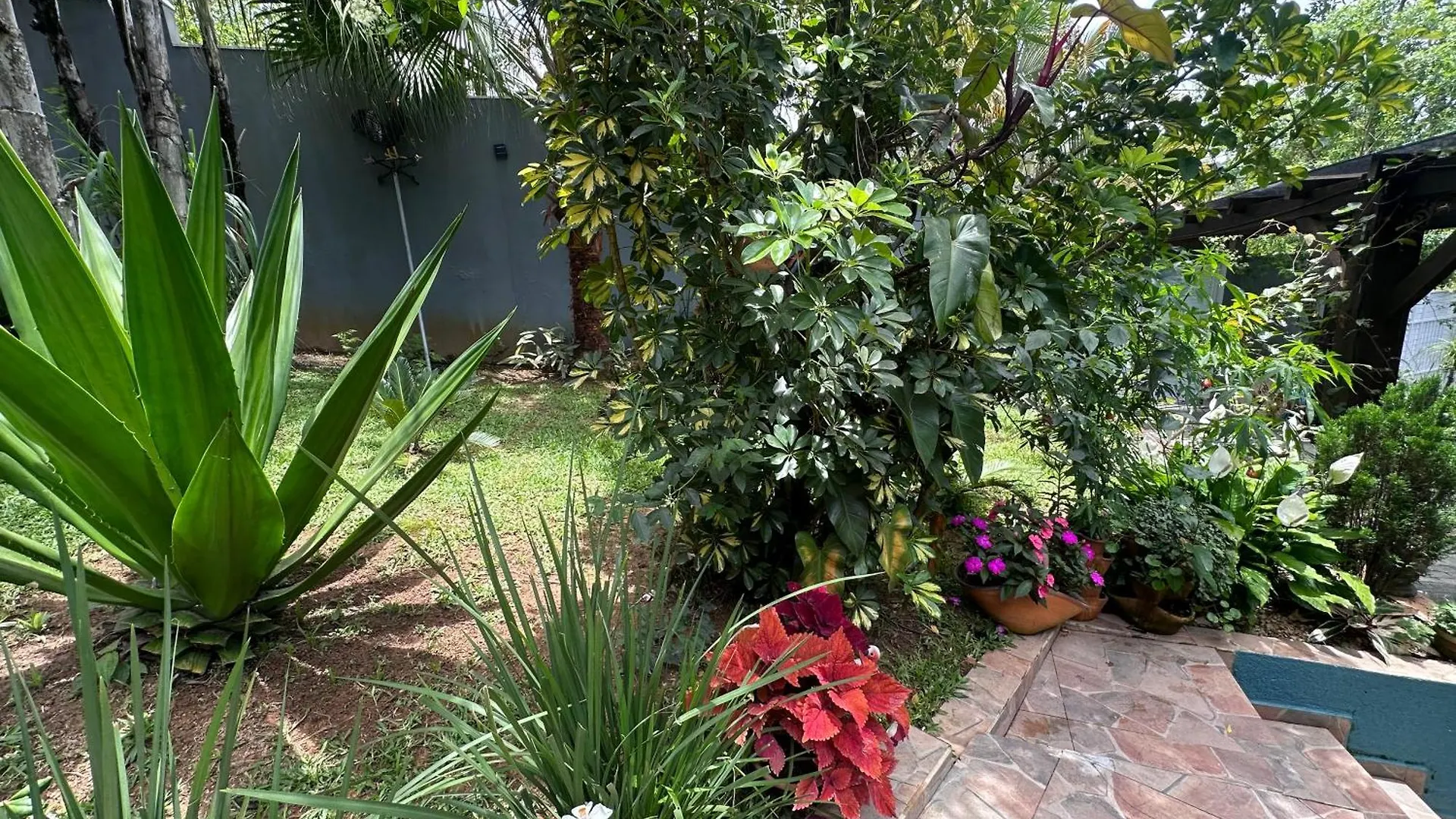 Arthi - Lindo Loft Recanto Dos Passarinhos Com Hidromassagem! Balneário Camboriú 0*,